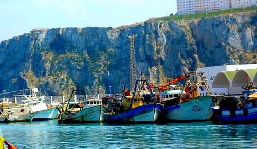 ممتهنو الصيد البحري يشتكون من الخصاص الكبير في عدد البحارة بميناء الحسيمة ممتهنو الصيد البحري يشتكون من الخصاص الكبير في عدد البحارة بميناء الحسيمة