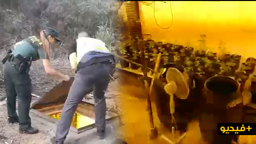 بالفيديو.. العثور على مزرعة تحت أرضية للحشيش بالجنوب الإسباني