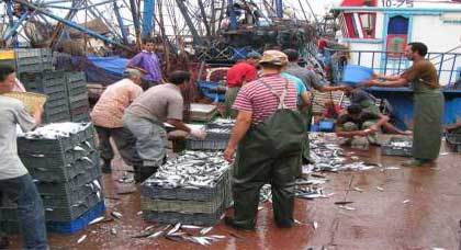 رئيس جمعية تجار السمك بالحسيمة: شباك سفن الجر تحتل أرصفة ميناء المدينة