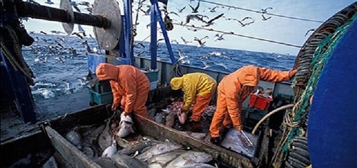 لجنة بالبرلمان الأوروبي تصادق على اتفاق الصيد البحري مع المغرب