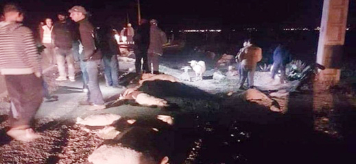 حادثة سير على الطريق المؤدية إلى زايو تتسبب في مقتل عشرات الأغنام 