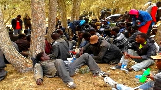 في ظرف 48 ساعة.. إحباط 3 عمليات للهجرة السرية وتوقيف 150 "حرّاك" بسواحل الدريوش في ظرف 48 ساعة.. إحباط 3 عمليات للهجرة السرية وتوقيف 150 "حرّاك" بسواحل الدريوش