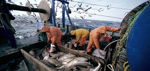 يهم ممتهني الصيد البحري بالناظور.. إجراءات قانونية جديدة لمحاربة الصيد غير القانوني