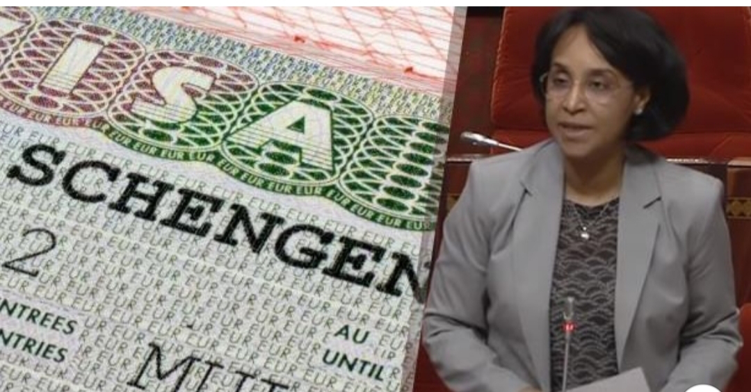 أزمة مواعيد "فيزا شنغن".. الوزارة المعنية تتدخل أزمة مواعيد "فيزا شنغن".. الوزارة المعنية تتدخل