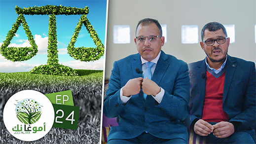 شاهدوا.. هذه قوانين تحمي البيئة وتنتظر أن يتم تطبيقها والعمل بها شاهدوا.. هذه قوانين تحمي البيئة وتنتظر أن يتم تطبيقها والعمل بها