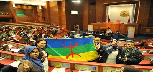 البرلمانيون يصادقون بالإجماع على اعتماد "تيفيناغ" لكتابة الأمازيغية