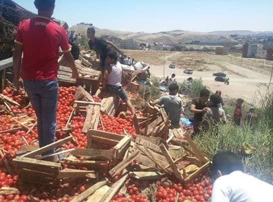 شاهدوا بالفيديو.. انقلاب شاحنة محملة بالخضر والفواكه كانت قادمة الى الناظور وحمولتها تتعرض للنهب