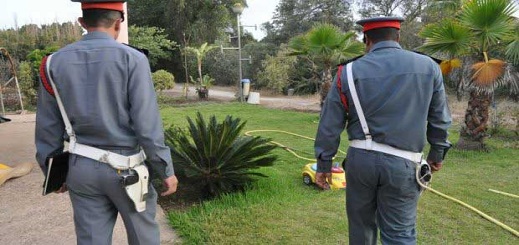 انتقالات واسعة في صفوف الدرك الملكي تشمل قائد مركز رأس الماء