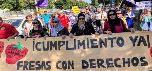 وزارة  العمل الإسبانية تطالب المزارعين الإسبان بتوفير الإيواء والتنقل المجاني لعاملات الفراولة