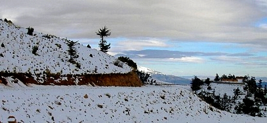 مرتفعات إقليمي الدريوش والحسيمة تكتسي حلة بيضاء بعد تساقطات مهمة من الثلوج