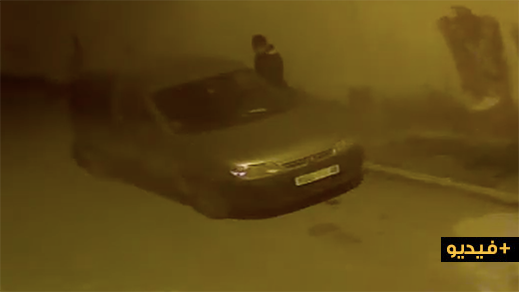 شاهدوا.. لص محترف يسرق سيارة بسلوان