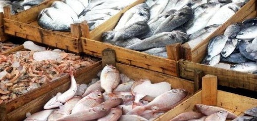 السلطات الجمركية تسمح بعودة الأسماك المغربية الى الثغر المحتل