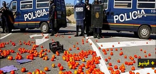 شاهد كيف تعرضت منتوجات فلاحية مغربية للإتلاف بطريقة همجية بإسبانيا