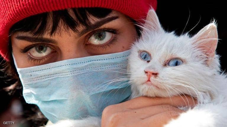 بلجيكا.. مصاب بفيروس "كورونا" ينقل العدوى إلى قطه