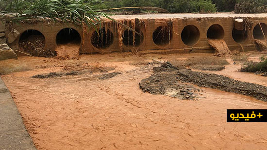 شاهدوا.. أمطار غزيرة بتمسمان تفيض الأودية وتنعش آمال المزارعين في موسم فلاحي جيد  شاهدوا.. أمطار غزيرة بتمسمان تفيض الأودية وتنعش آمال المزارعين في موسم فلاحي جيد
