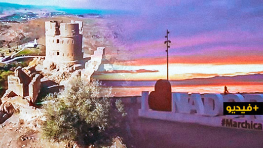 وثائقي عن غابة "كوركو" بالناظور يسترق الأضواء في مسابقة ضخمة للجزيرة الوثائقية وثائقي عن غابة "كوركو" بالناظور يسترق الأضواء في مسابقة ضخمة للجزيرة الوثائقية