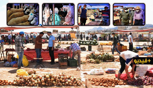 بعد تخفيف إجراءات الحجر الصحي.. سلطات الدريوش تفتتح السوق الأسبوعي الجديد بجماعة امطالسة بعد تخفيف إجراءات الحجر الصحي.. سلطات الدريوش تفتتح السوق الأسبوعي الجديد بجماعة امطالسة