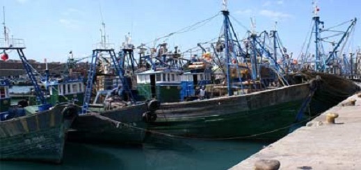 مهنيون ينفون مغادرة 100 مركب للصيد ميناء بني نصار