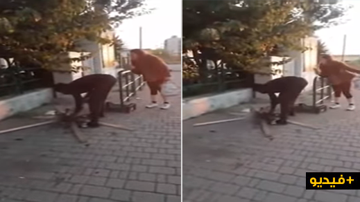 فيديو.. ضجّة في إيطاليا بسبب فيديو لمهاجر يشوي قطا في الشارع العام