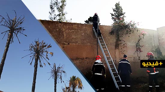 الألطاف الإلهية تحفظ منطقة "جعدار" من كارثة نشوب نيران في مستودع لقنينات الغاز الألطاف الإلهية تحفظ منطقة "جعدار" من كارثة نشوب نيران في مستودع لقنينات الغاز