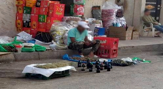 انتشار "الفراشة" يثير غضبة ساكنة حي سبتة بسلوان انتشار "الفراشة" يثير غضبة ساكنة حي سبتة بسلوان