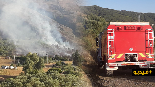 شاهدوا.. إندلاع حريق قرب غابة جبل القرن يستنفر السلطات بإقليم الدريوش