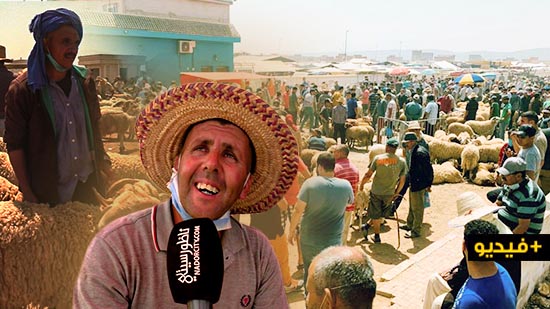 سوق المواشي ببني وكيل.. العرض يفوق الطلب والكسابة يعربون عن تضررهم جراء انخفاض الأسعار سوق المواشي ببني وكيل.. العرض يفوق الطلب والكسابة يعربون عن تضررهم جراء انخفاض الأسعار