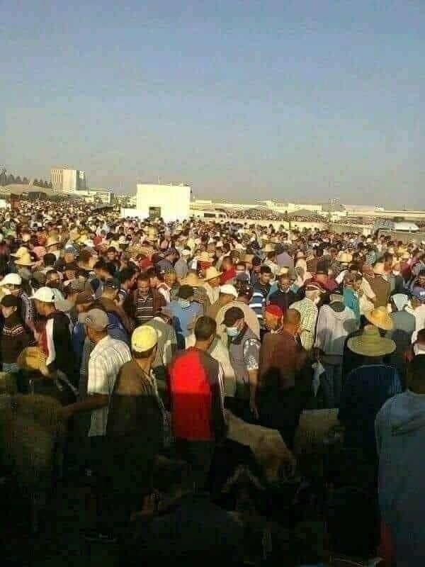 خبير مغربي : عيد الأضحى يمكن أن يضاعف عدد حالات كورونا عشر مرات خبير مغربي : عيد الأضحى يمكن أن يضاعف عدد حالات كورونا عشر مرات