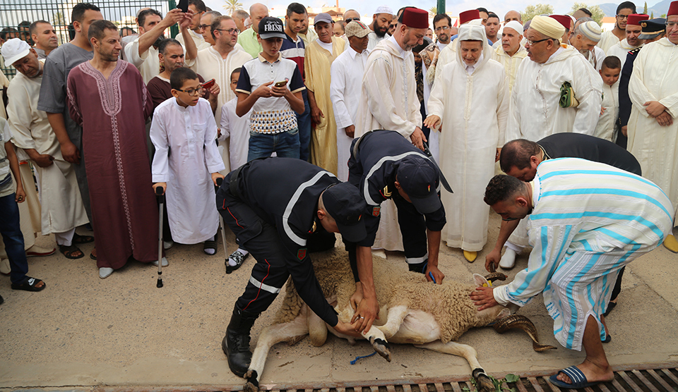 المجلس العلمي بالناظور.. هذا توقيت صلاة العيد ونحر الأضاحي