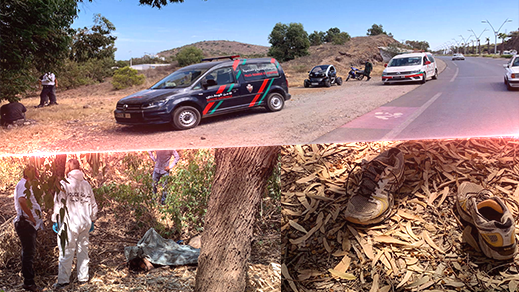 العثور على جثة متحللة وسط غابة "أطاليون" يستنفر السلطات الأمنية بالناظور العثور على جثة متحللة وسط غابة "أطاليون" يستنفر السلطات الأمنية بالناظور