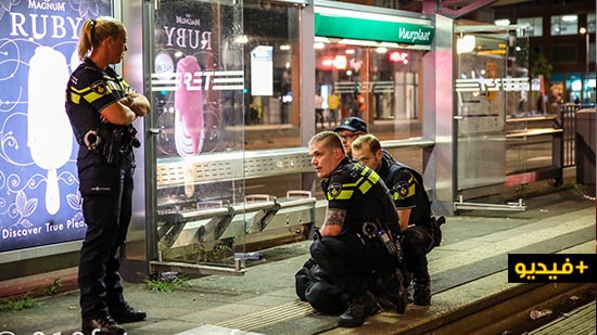 هولندا.. أعمال الشّغب تمتدّ إلى روتردام والشّرطة تعلن "الطوارئ"