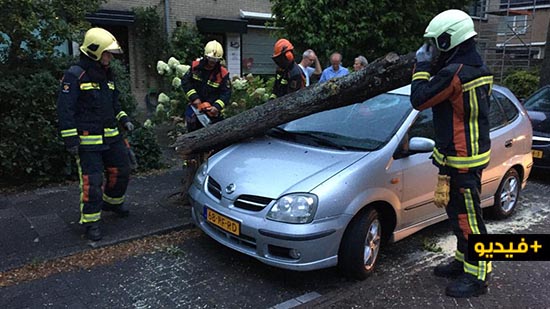 العاصفة "فرانسيس".. حوادث بالجملة واضطرابات في كافة أرجاء هولندا