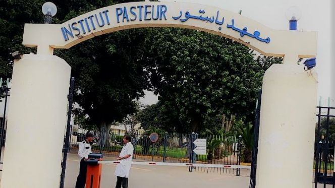 معهد باستور يؤكد استمرارية إجراء تحاليل PCR للكشف عن فيروس كورونا معهد باستور يؤكد استمرارية إجراء تحاليل PCR للكشف عن فيروس كورونا