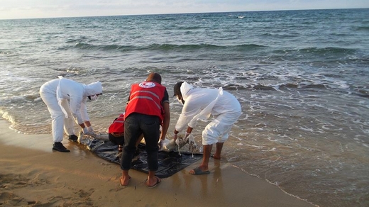 مياه شاطئ "الداليا" ضواحي طنجة تلفظ جثة رجل متحللة
