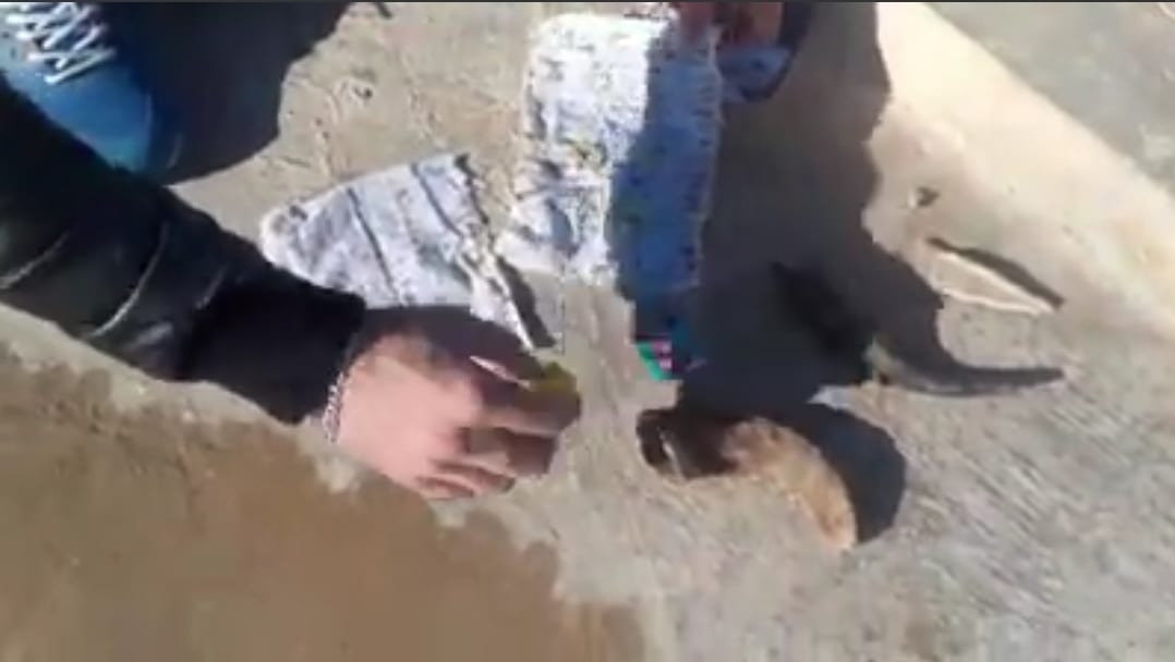 مقبرة "سيدي علي" بسلوان تتحول إلى قبلة لأعمال السحر والشعوذة