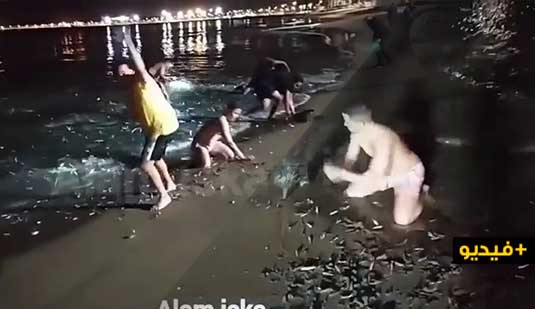 شاهدوا.. نفوق الآلاف من الأسماك بأحد شواطئ الريف