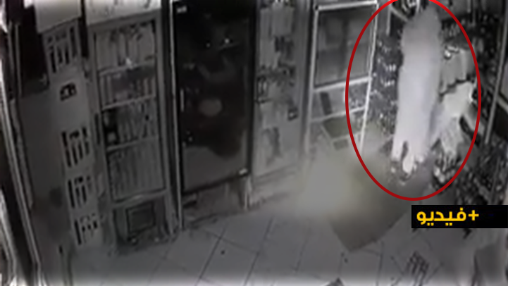 شاهدوا.. لص يسرق متجرا للمواد الغذائية بطريقة احترافية في حي إيكوناف