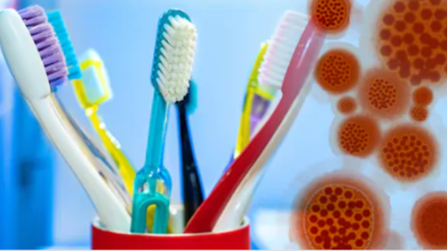 دراسات مخبرية: معجون الأسنان مقاوم لفيروس كورونا المستجد