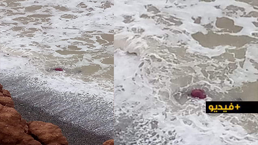 شاطئ اركمان يلفظ جثة ثالثة في اقل من 24 ساعة