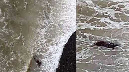 مأساة.. خلال أربعة أيام شاطى "قرية أركمان" يلفظ رابع جثة لمهاجر سري