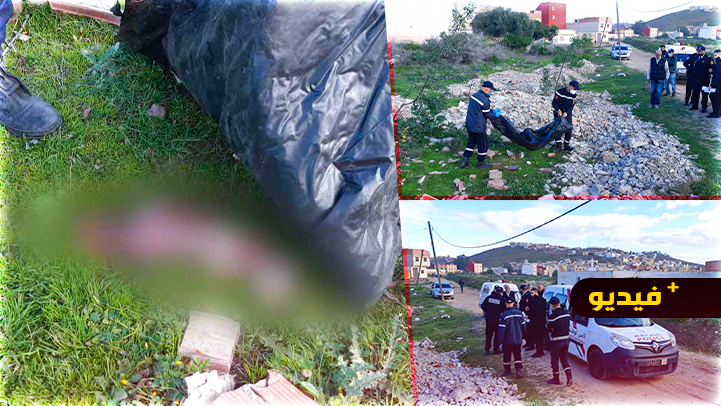 صادم.. الكلاب "تمزق" وتقتل طفلا حديث الولادة تخلت عنه والدته بالناظور 