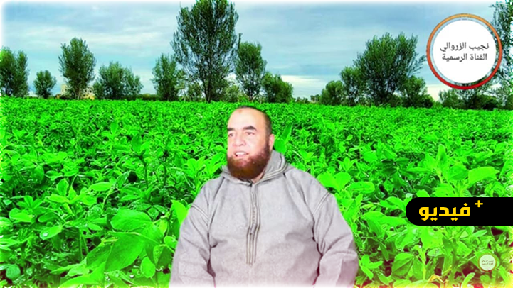 نجيب الزروالي.. لماذا بكى سفيان الثوري وسال دمعه بعدما حاورته أم حسان؟