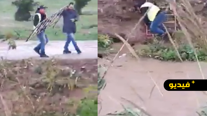 شاهدوا.. شباب ينقذون جروا حاصرته الأوحال بواد "بوسرذون" وسط الناظور