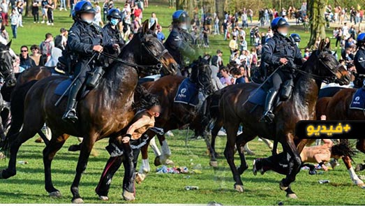 شاهدوا.. امرأة دهسها حصان شرطة في تجمهر ببروكسيل