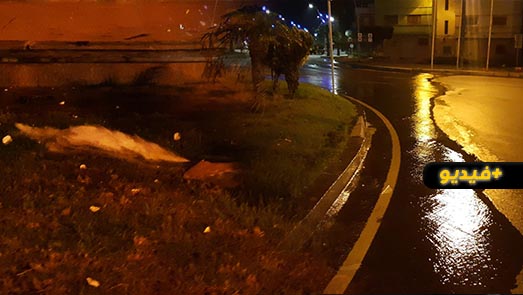 شاهدوا.. حراكة يتعمدون تخريب مدارة وسط الناظور ويتسببون في ضياع المياه الصالحة للشرب