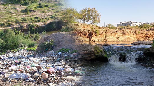 وادي سلوان يتحول من معلمة طبيعية إلى مزبلة بمباركة من المسؤولين على الشأن المحلي 