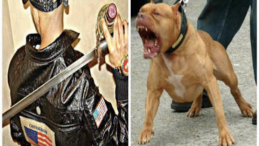 شرطي يستعمل السلاح الوظيفي لتوقيف شخص حرض كلبا شرسا على عناصر الأمن
