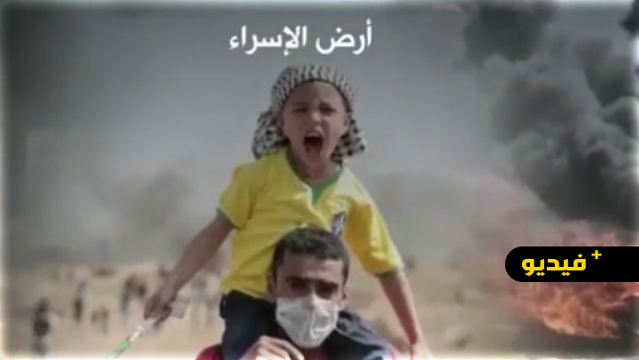 شاهدوا.. نزيهة المنتصر في قصيدة فلسطينية