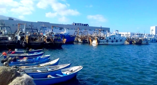 عامل إقليم الناظور يتدخل لإعادة الممتهنين بقطاع تجارة السمك بالجملة ببني انصار للعمل بالميناء