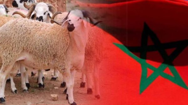 رسميا يوم الأربعاء 21  يوليوز عيد الأضحى بالمغرب